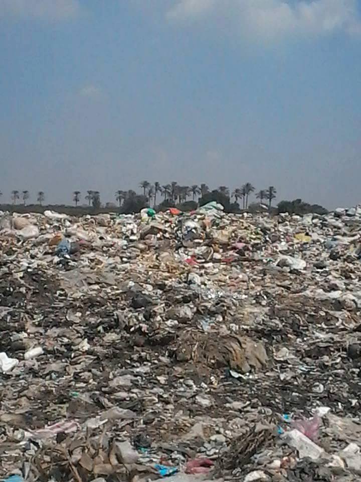 14600852_1118150491571860_6688583301697159298_n