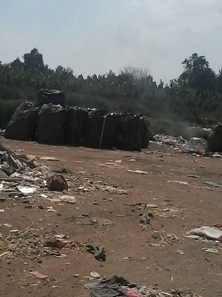 14642044_1118150474905195_306695225460616621_n